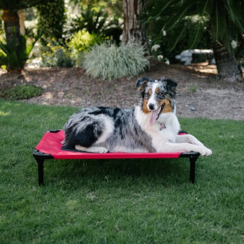 Lucky Dog - Pet Bed 36" Red