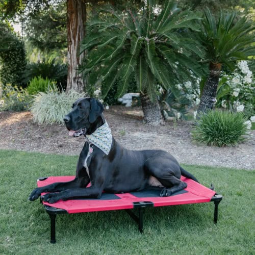 Lucky Dog - Pet Bed 48" Red