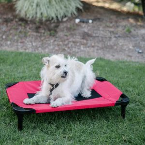 Lucky Dog Pet Bed