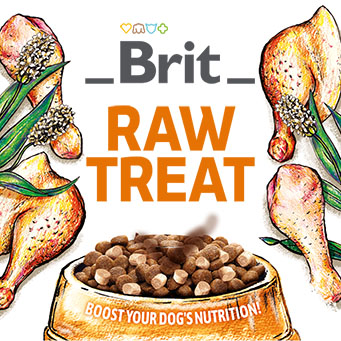 Brit Raw Freeze-Dried