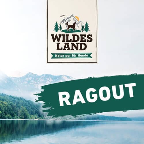 Wildes Land Cat / RAGOUT
