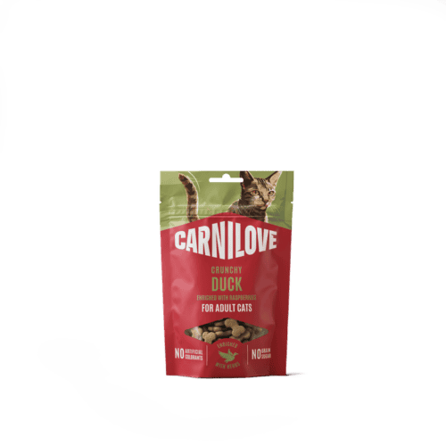 CL Crunchy Snack new