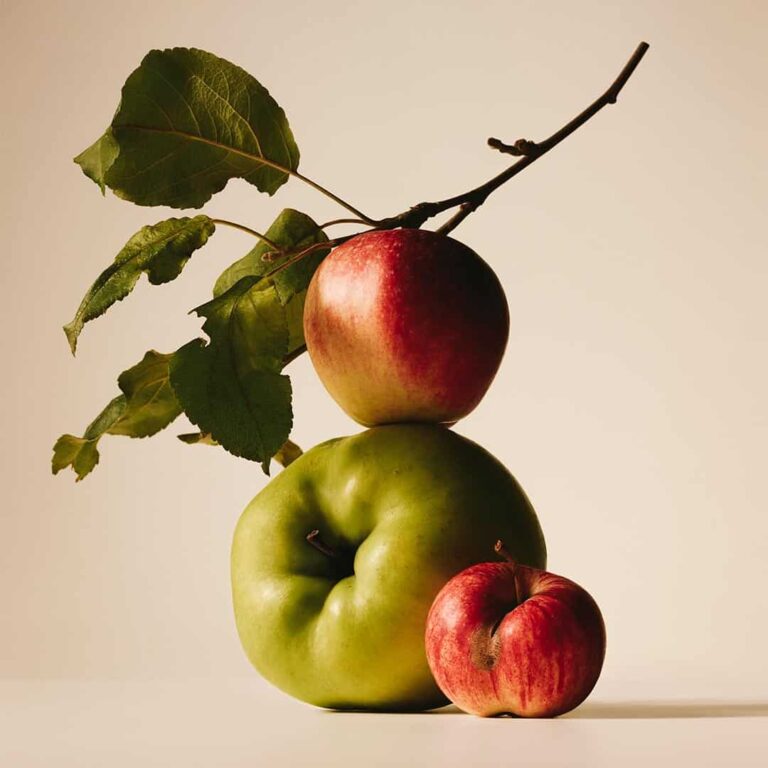 freshingredienten_0000s_0001_Apple.jpg