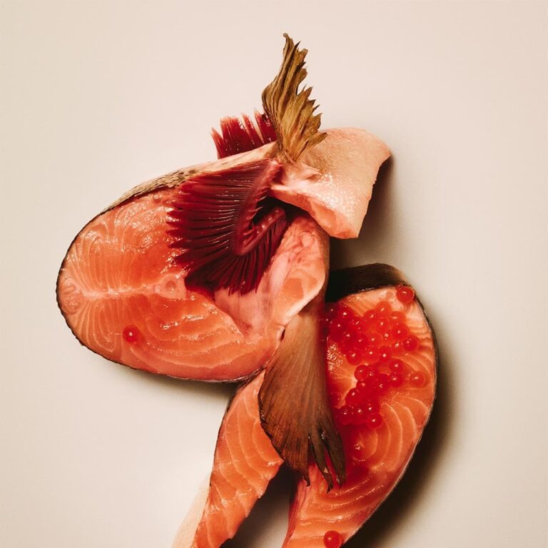 freshingredienten_0000s_0004_Salmon.jpg